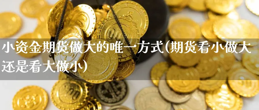 小资金期货做大的唯一方式(期货看小做大还是看大做小) (https://www.ynbygsw.com/) 基金投资 第1张