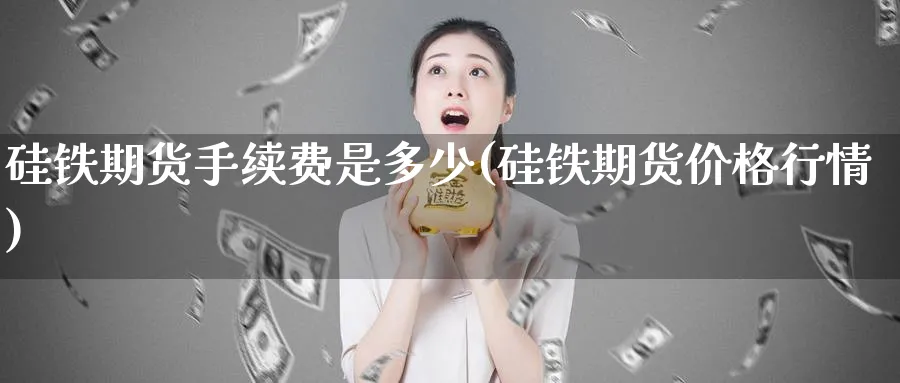 硅铁期货手续费是多少(硅铁期货价格行情) (https://www.ynbygsw.com/) 期货入门 第1张