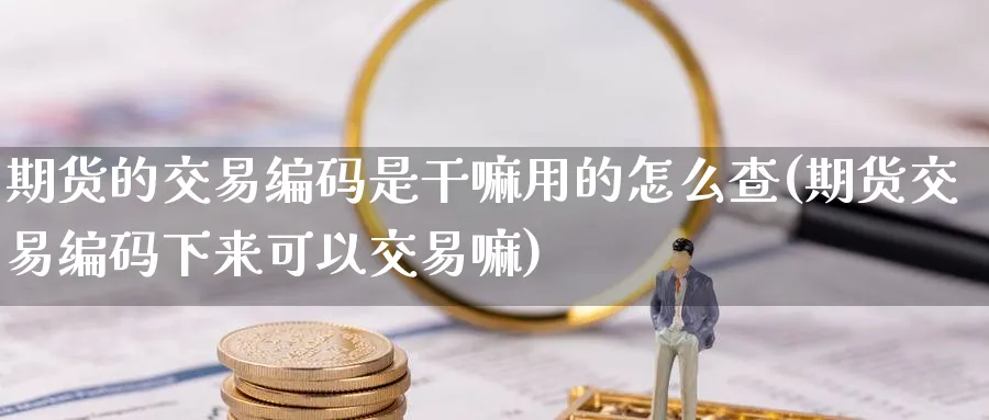 期货的交易编码是干嘛用的怎么查(期货交易编码下来可以交易嘛) (https://www.ynbygsw.com/) 期货开户 第1张