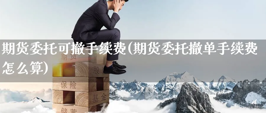 期货委托可撤手续费(期货委托撤单手续费怎么算) (https://www.ynbygsw.com/) 国际期货 第1张