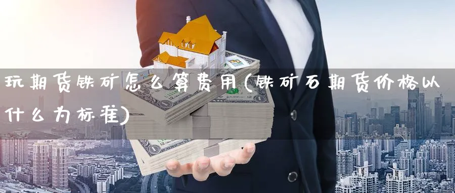 玩期货铁矿怎么算费用(铁矿石期货价格以什么为标准) (https://www.ynbygsw.com/) 期货学习 第1张