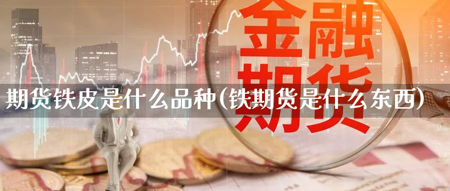 期货铁皮是什么品种(铁期货是什么东西) 期货入门 第1张-财经圈 期货铁皮是什么品种(铁期货是什么东西) (https://www.ynbygsw.com/) 期货入门 第1张