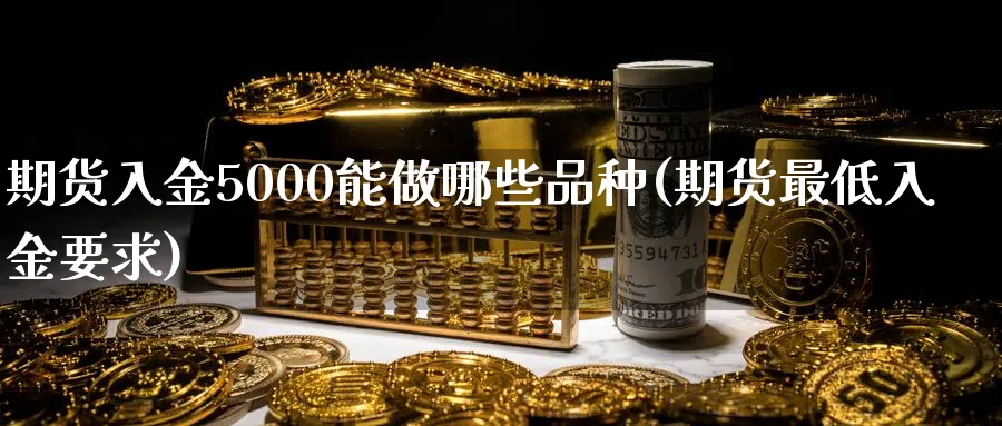 期货入金5000能做哪些品种(期货最低入金要求) 期货学习 第1张-财经圈 期货入金5000能做哪些品种(期货最低入金要求) (https://www.ynbygsw.com/) 期货学习 第1张