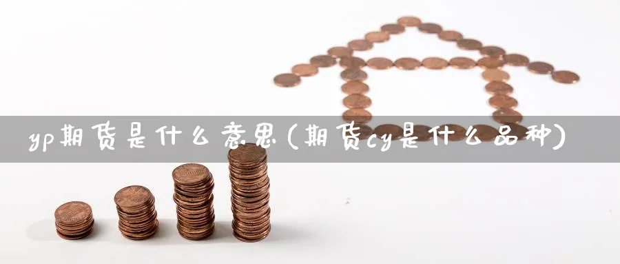 yp期货是什么意思(期货cy是什么品种) (https://www.ynbygsw.com/) 理财百科 第1张