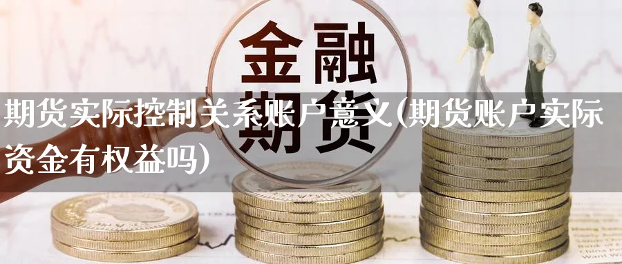 期货实际控制关系账户意义(期货账户实际资金有权益吗) (https://www.ynbygsw.com/) 基金投资 第1张