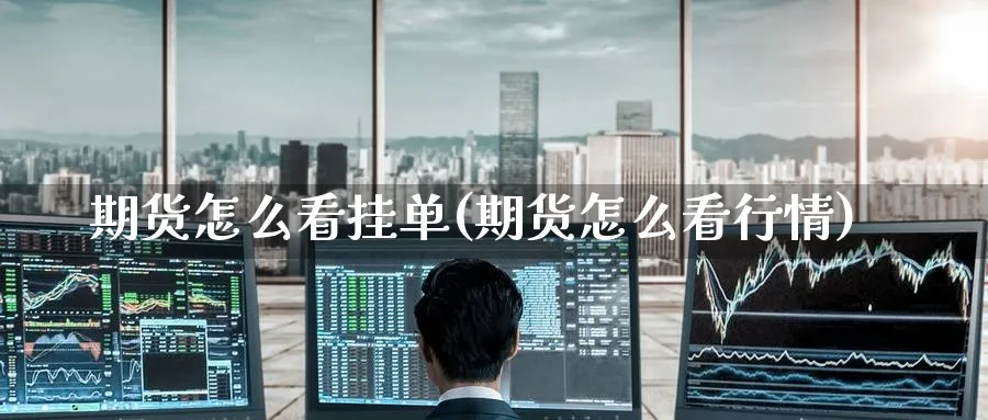 期货怎么看挂单(期货怎么看行情) (https://www.ynbygsw.com/) 基金投资 第1张