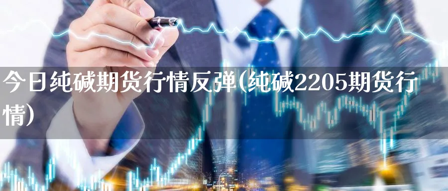 今日纯碱期货行情反弹(纯碱2205期货行情) (https://www.ynbygsw.com/) 基金投资 第1张