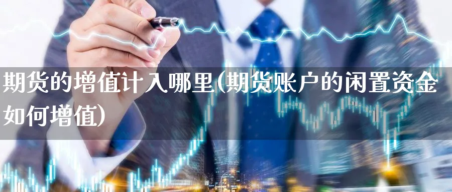 期货的增值计入哪里(期货账户的闲置资金如何增值) (https://www.ynbygsw.com/) 期货平台 第1张