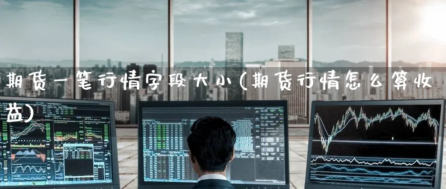 期货一笔行情字段大小(期货行情怎么算收益) (https://www.ynbygsw.com/) 国际期货 第1张
