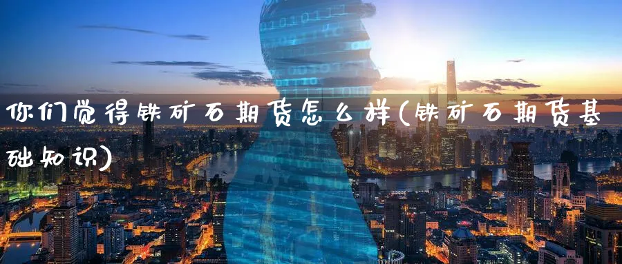 你们觉得铁矿石期货怎么样(铁矿石期货基础知识) 期货手续费 第1张-财经圈 你们觉得铁矿石期货怎么样(铁矿石期货基础知识) (https://www.ynbygsw.com/) 期货手续费 第1张